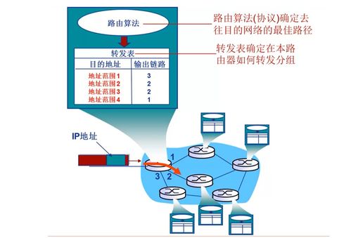 計算機網絡網絡層之路由算法