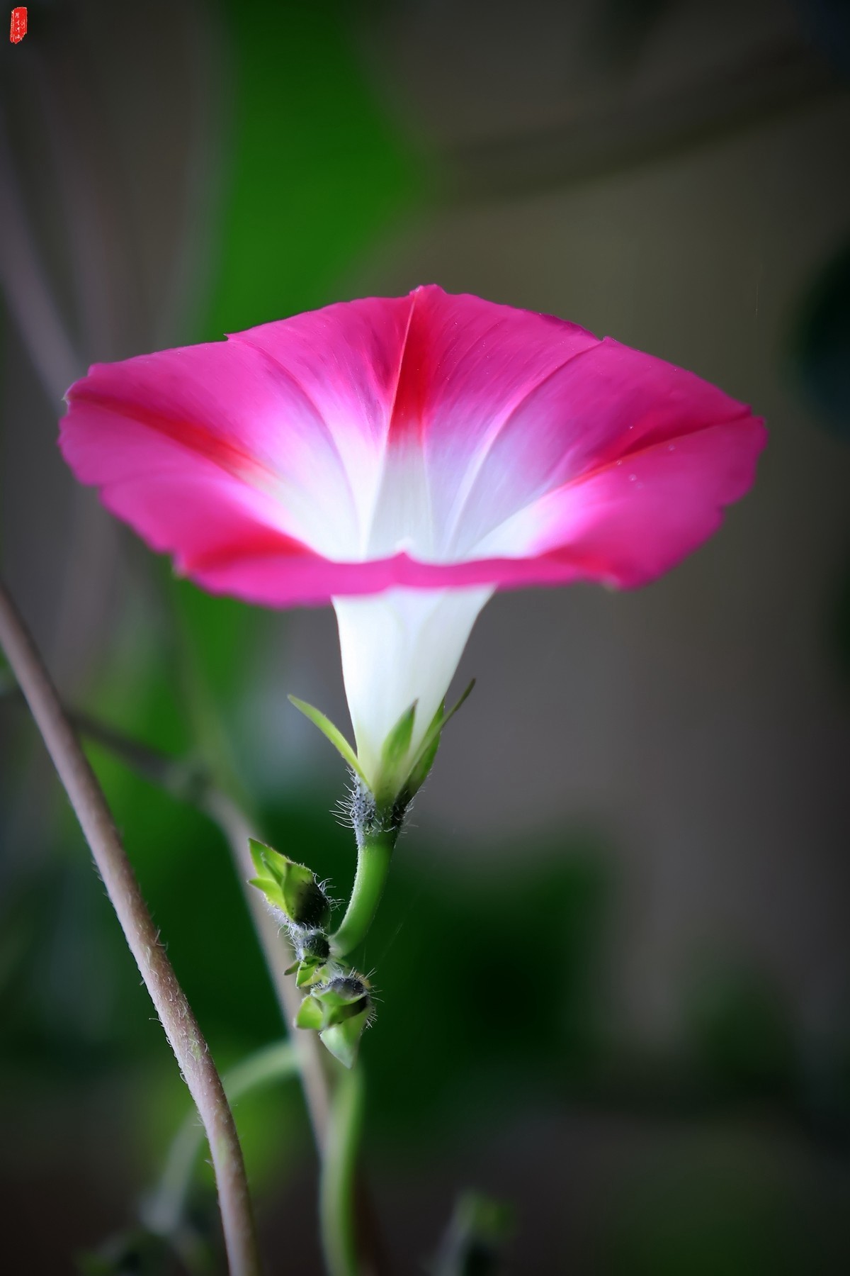 牽?；ㄐ∮? />
</span>
<span id=