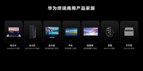 華為消費(fèi)者業(yè)務(wù)更名為華為終端業(yè)務(wù) 全面進(jìn)軍商用領(lǐng)域